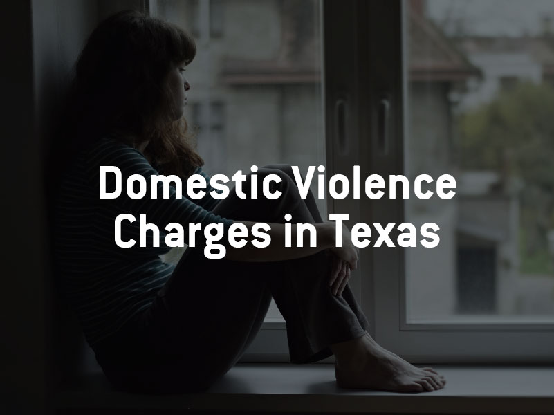 Domestic Violence Laws 