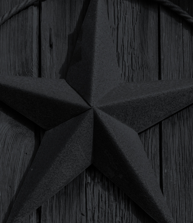 Houston Criminal Defense Lawyer